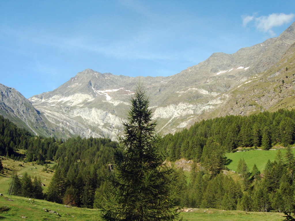 Monti